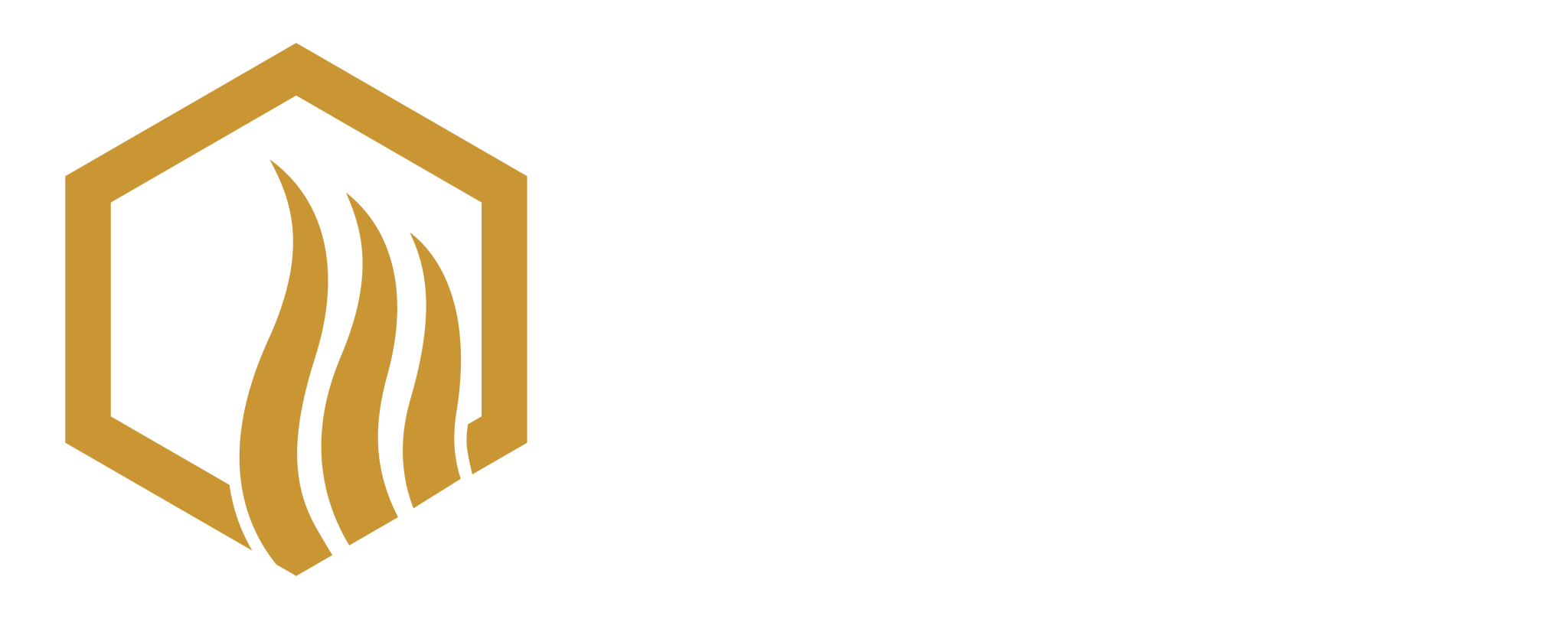 Protección con gases